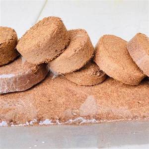 El disco de coco de Vietnam es el producto de fibra de coco de árbol de plantas al por mayor más vendido, de la más alta calidad y producido de manera sostenible. - Product Image 5