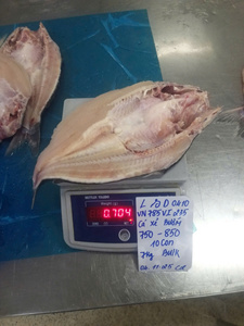 Filete de Pangasius de Vietnam con 0-20% de glaseado de hielo, presentación premium, IQF, con o sin piel, cortado a la mariposa, conociendo la calidad experta. - Product Image 5