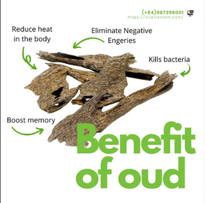 Top haute qualité fourmi Oud Bakhoor brûleur pleine résine d'huile avec une odeur forte et durable encens pur naturel Oud Vietnam - Product Image 3