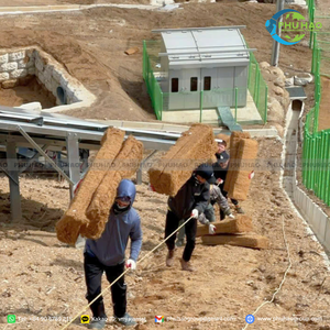 Organic Material COIR <b>NET</b> For Eco Landscaping And Supporting <b>Green</b> Recovery In Degraded Land Areas - Product Image 4