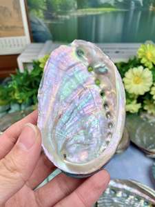 Support d'encens et de sauge en coquille d'ormeau naturelle, fait main, de haute qualité – Cadeau spirituel – Fournisseur en gros - Product Image 5