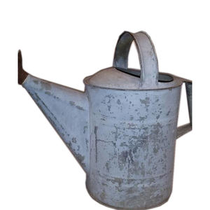Arrosoir en métal pour plantes pour la maison et le jardin Fournisseur en gros Plantes de jardin rustiques en métal shabby galvanisé de ferme - Product Image 3