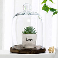 Bocal en verre transparent avec poignée supérieure et Base en bois, 37 styles, Cloche, présentoir, centre de table décoratif