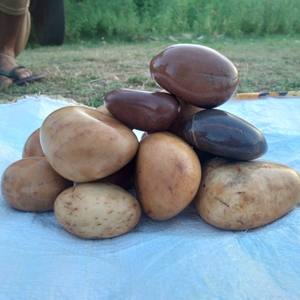 Piedras naturales y piedras de molienda utilizadas para molinos de bolas, piedras de mármol pulidas pequeñas de color blanco nieve para decoración del hogar. - Product Image 6