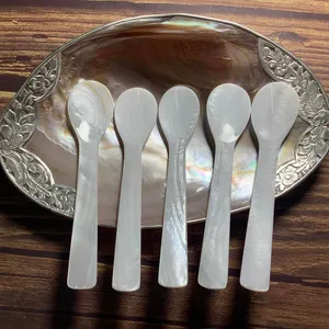 Economical Practical Cheap Natural Mother Of Pearl River Shell Spoon Caviar Spoon Ice Cream Spoon with long handle decoration