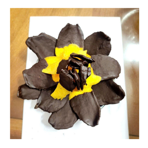 Natural Soft <b>Dried</b> <b>Mango</b> with Chocolate Premium Tropical Snack for Retail and Wholesale - Product Image 6