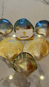 PLAT EN COQUILLE DE PERLE DE QUALITÉ SUPÉRIEURE |   DIFFÉRENTES TAILLES 15-30CM |   PRIX D'USINE BRILLANT NATUREL EFFET ARC-EN-CIEL - Product Image 5