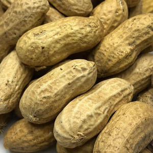 Tanzanian Groundnuts High Oil Content Natural Kernel Selection For Food Ingredient Supply And Bulk Export Demand - Product Image 1