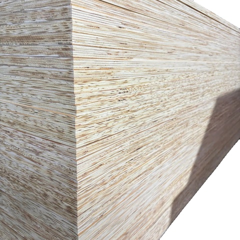 AA Furniture Construction Plywoods 100% High Grade 5/6/9 mm Phenolic Coating First Class E0 for Living Room Villa Shuttering