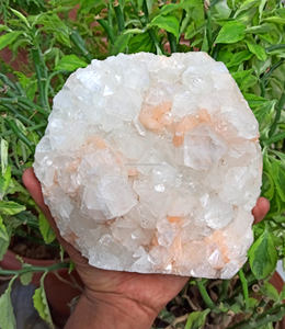 Natural Apophyllite Crystal Cluster Minerals Venta al por mayor Cluster para la venta Natural Apophylite Verde rosa - Product Image 6