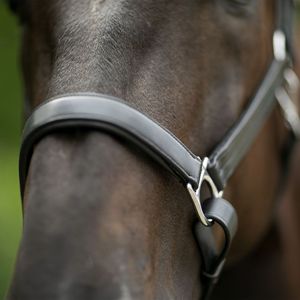 Premium quality English style horse bridle and <b>halter</b> made from genuine leather for outdoor equestrian use Wholesale Price - Product Image 5