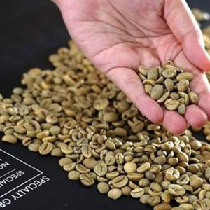 Sustainable Vietnam Robusta <b>Coffee</b> <b>Beans</b> Wholesale – Bulk Natural Green Unroasted Seeds OEM ODM Export Supply, 12% Moisture Stan - Product Image 6