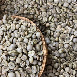 Granos de Café Verde Robusta Orgánico de Primera Calidad AA+, Tamaño 18, Certificado ISO 22000, Bolsas de Yute, Proveedor Mayorista de Vietnam - Product Image 1