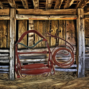 Bridas para Caballos Horshi al por Mayor, Bridas de Cuero de Alta Calidad a un Precio Económico y Razonable - Product Image 3