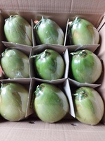 Cocos jóvenes frescos naturales de sabor dulce con pajita/botón pulsador/Tirador de anillo del proveedor de Vietnam