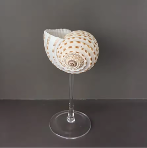 Verre à vin artisanal en coquillages naturels du Vietnam, idéal pour la dégustation et la décoration de table, disponible en gros - Product Image 4