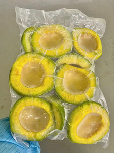 Purée d'avocat naturelle du Vietnam, cubes IQF |   Étiquette verte de produits surgelés |   Ingrédients pour glaces et sauces à base de plantes - Product Image 1
