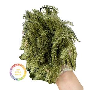 Vente directe usine : Chips de jackfruit naturelles couleur jaune doré pour le marché britannique (pause thé) – Vente en gros à bas prix, haute qualité - Product Image 5