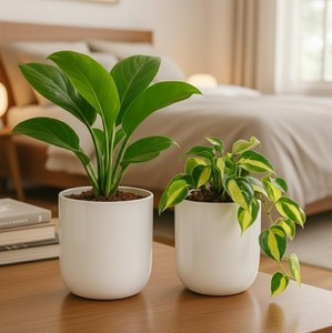 Maceta Colgante Grande de Hierro para Jardín |   Maceta Resistente de Estilo Bohemio para Exteriores - Product Image 1