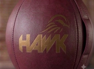 Ballon de frappe rapide HAWK PU avec suspension élastique et installation facile pour l'entraînement de boxe, conception durable, utilisation universelle - Product Image 6