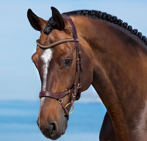 Bridon d'anglaise en cuir de qualité supérieure réglable avec noseband français et surpiqûres assorties par Horsekraft pour la course hippique - Product Image 1