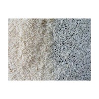 Riz Basmati du Brésil prêt à l'exportation, riz à grains longs de haute qualité pour les acheteurs internationaux et les marchés commerciaux