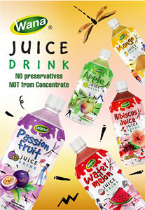 Bouteille PET 1L de jus de Noni purée, marque privée OEM, haute qualité, 100% naturel, fraîchement pressé, boisson saine et légère - Product Image 2