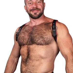 Arnés de hombro de encaje con piel sintética para hombre, diseño minimalista azul, ropa de club sexy de primera calidad - Product Image 1