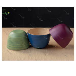 Elegantes Tazones Desechables de Bambú Ecológicos Vietnamitas para Fiestas y Cenas en Casa, Hechos en Vietnam - Product Image 1
