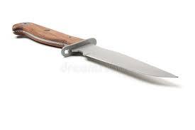 High Quality Stigma Stainless Steel Hunting Bowie Knife Wooden Handle Leather Sheath Fixed <b>Clip</b> Point Blade Outdoor Knife - Product Image 5