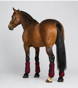 Bottes de protection en néoprène pour l'équitation, absorbant les chocs, respirantes, durables, protection des jambes, fournisseur OEM, bottes d'équitation - Product Image 4