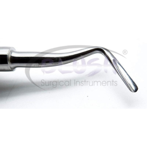 Dental Luxating Elevator Straight 5mm Precision Stainless Steel Tool Tooth Extraction Surgical Instrument by <b>Blush</b> Surgical - Product Image 5