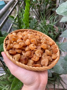 ลำไยแห้งนุ่มแม่น้ำเมกง ผลผลิตพิเศษจากเวียดนาม - Product Image 1