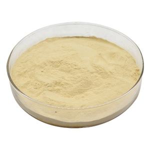 Approvisionnement en gros : Extrait de fruit du moine 100 % pur et naturel 50:1 en poudre, poudre de fruit du moine de haute qualité en gros d'Inde - Product Image 2