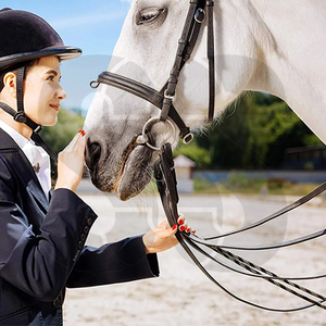 Fouet d'équitation Premium SHER SONS SPORTS, manche en fibre de verre/PVC, poignée en cuir/PU, antidérapante, pour l'entraînement quotidien et l'équitation, durable - Product Image 6