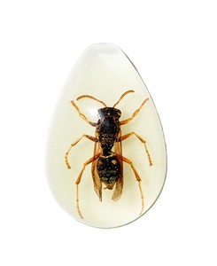 Red Wasp Real Specimen Plastic Cabochon Pear Shape Cut <b>Top</b> 33x22 mm Glow Flat Bottom for Crafts and Jewelry Making - Product Image 6