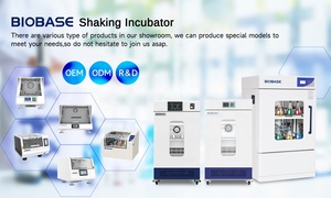<span class=keywords><strong>Chambre</strong></span> d'essai haute et basse température BIOBASE CN BJPX-HL80C avec écran LCD pour laboratoire ou hôpital - Product Image 6