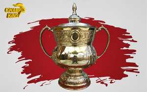 Champ King Stainless Steel <b>Trophy</b> <b>Cup</b> With Lid Durable Metal Award For Competition Display - Product Image 5