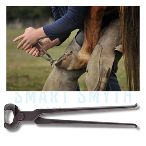 เครื่องตัดกีบสัตว์มืออาชีพ ทำจากเหล็กกล้าไร้สนิม สำหรับช่างตัดแต่งกีบและปศุสัตว์ - Product Image 6