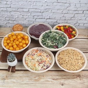 Exlusive Round Shapes Biodegradable Disposable 32oz Bagasse Salad and Soup Bowl <b>Lid</b> Food Packaging for Party and Restaurant Use - Product Image 5