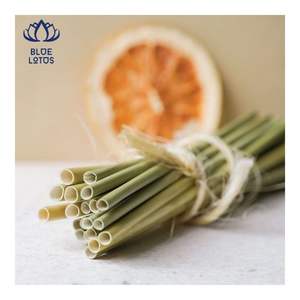 Pajitas de Bambú Reutilizables LISTAS PARA ENVIAR, Pajitas de Bambú para Bebidas Frías y Servicio de Bebidas en Cafeterías - Product Image 4