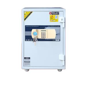 Une source de bonne réputation de coffres-forts de bonne qualité à de bons prix-Coffre-fort résistant au feu - Product Image 1