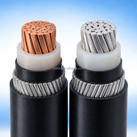Câble d'alimentation blindé, gaine XLPE, isolation PVC, câblage électrique pour usage industriel, marin et de bâtiment