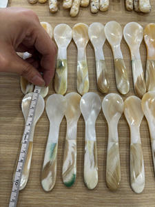 Cuillère en coquillage naturel, fabriquée à la main avec finition polie, pour la présentation de vaisselle, les coffrets cadeaux et les acheteurs en gros - Product Image 3