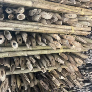 Proveedor Mayorista de Varas de Bambú Natural Rectas de Primera Calidad de Vietnam - Product Image 1