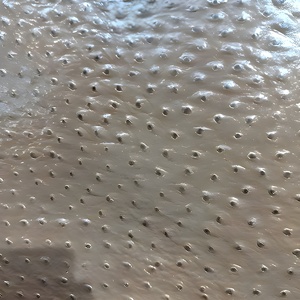 Cuir imprimé autruche de haute qualité pour la fabrication de sacs à main, portefeuilles, ceintures, chaussures et artisanat professionnel pour 2026 - Product Image 6