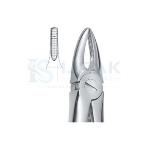 คีมถอนฟัน ฟันหน้าบน รากฟัน สแตนเลส เครื่องมือผ่าตัดแบบใช้มือ คลาส 1 - Product Image 3