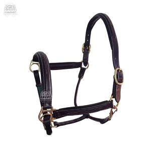 Wholesale Horse Leather Halter with padding and <b>snap</b> <b>hook</b> all brass hardware Custom logo - Product Image 3