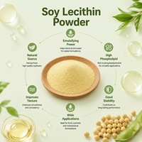 Bubuk Lecithin Kedelai CAS 8002-43-5 Kelas Makanan/Kosmetik Fosfolipid Pengemulsi Lecithin Kedelai untuk Perawatan Kulit & Rambut