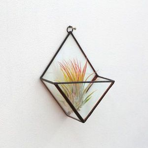 Fleurs de terrarium artificielles géométriques, métal or rose, cuivre, verre - Product Image 5